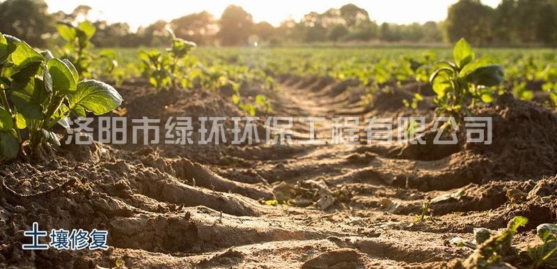 英国正版365官方网站 -首页入口